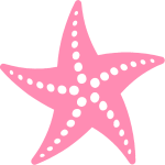 T--Aix-Marseille--Starfish 1.png