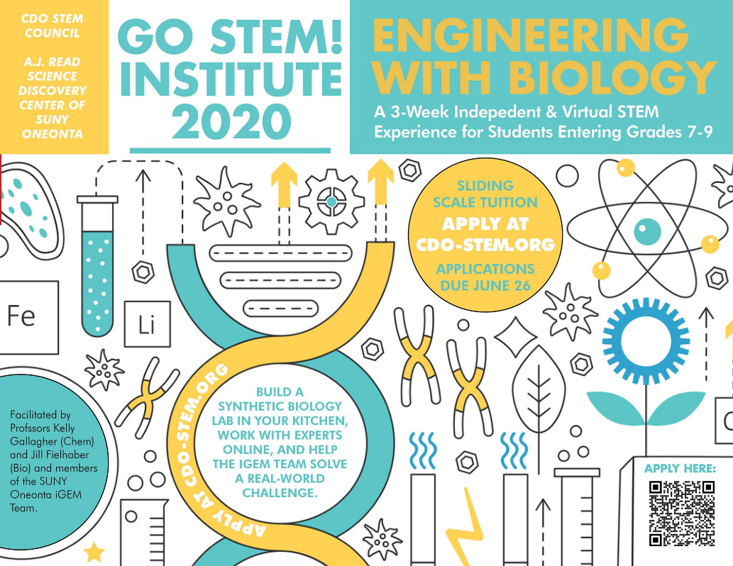 Figure 1: Poster Advertising Engineering With Biology, a three week virtual STEM Summer Camp.
