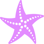 T--Aix-Marseille--Starfish 2.png