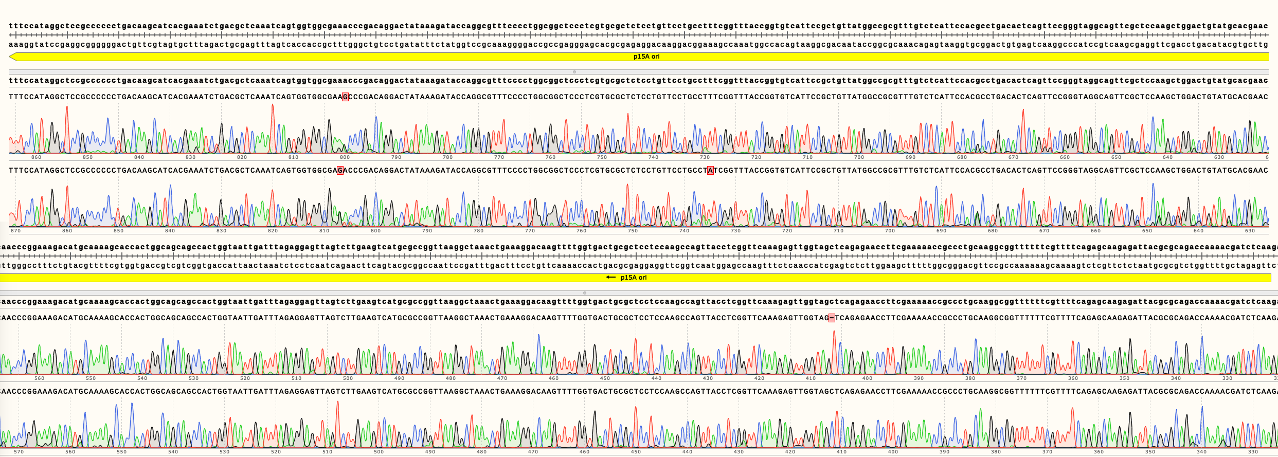 Sequencing of the origin of replication p15A of pSB3K02.